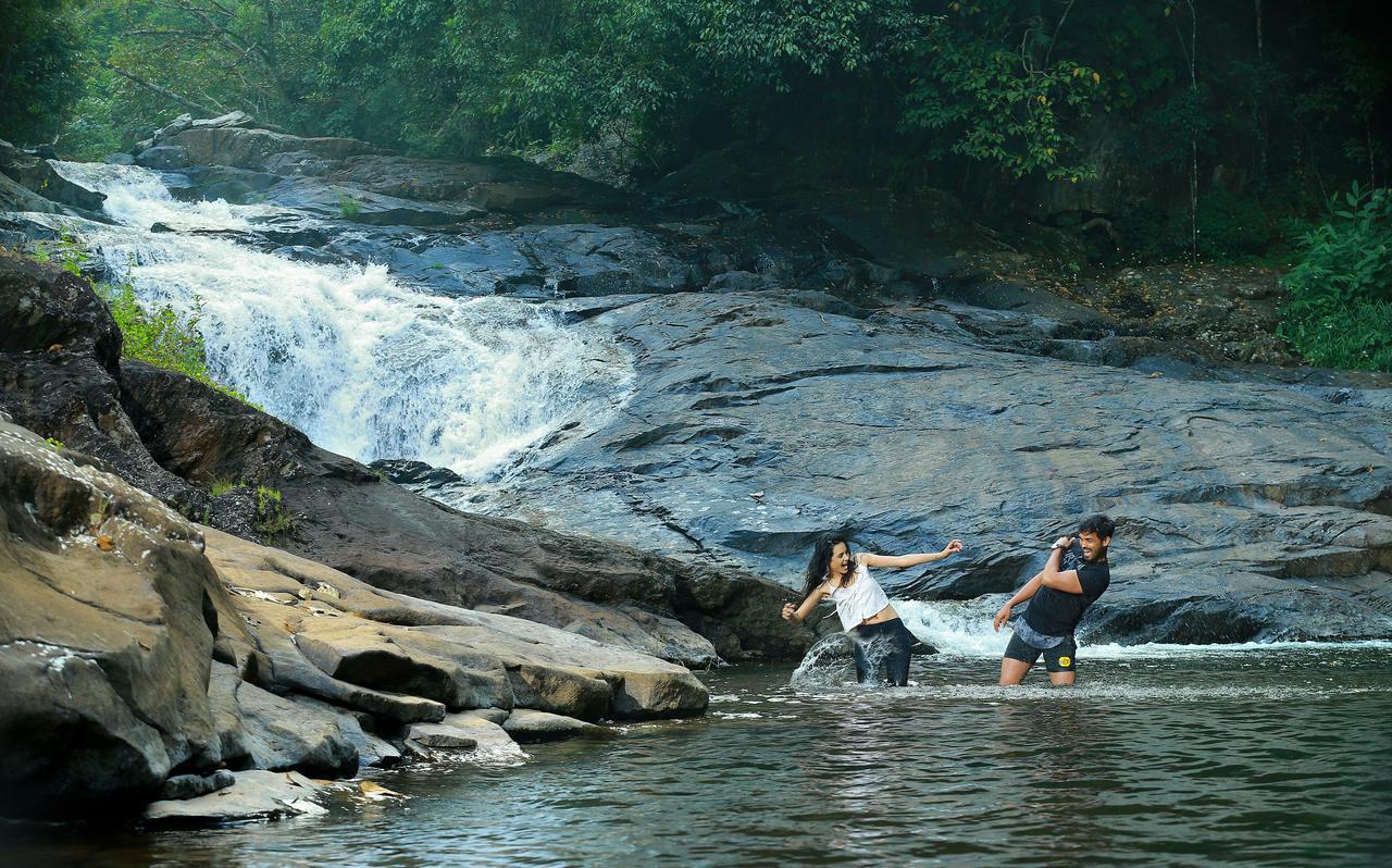 Peter'S Coffee Creek Nature Resort Meppadi Exterior photo